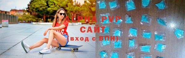 прущие грибы Новокубанск