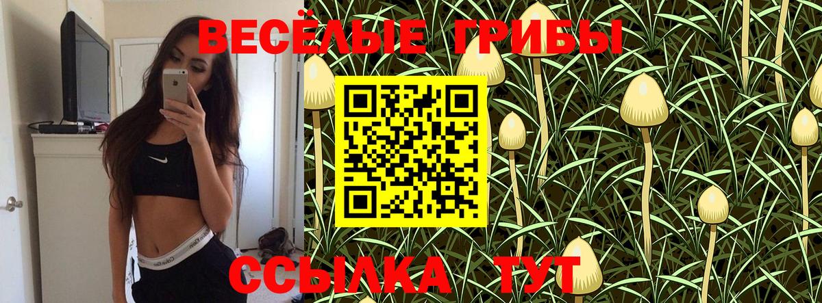 Галлюциногенные грибы GOLDEN TEACHER Ейск