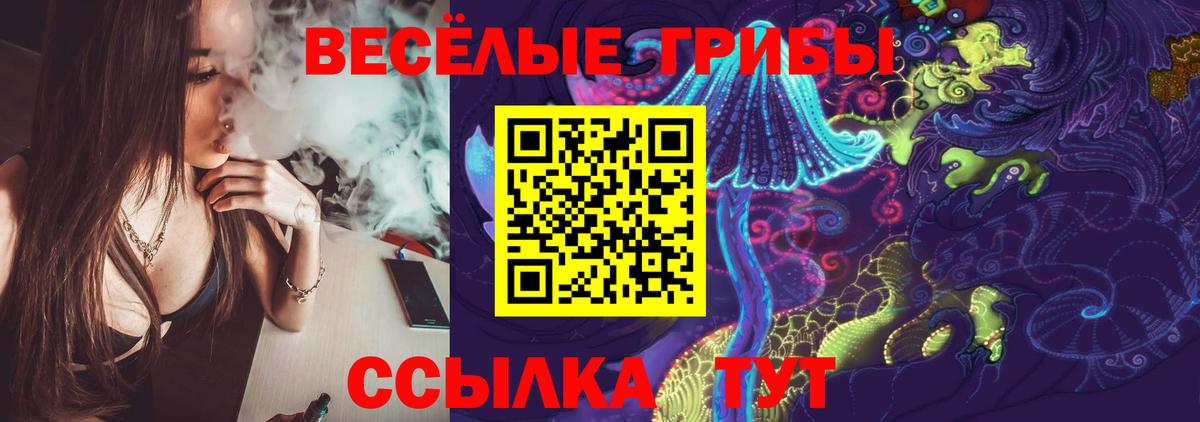 Псилоцибиновые грибы Psilocybine cubensis  Псилоцибиновые грибы GOLDEN TEACHER  Ейск 